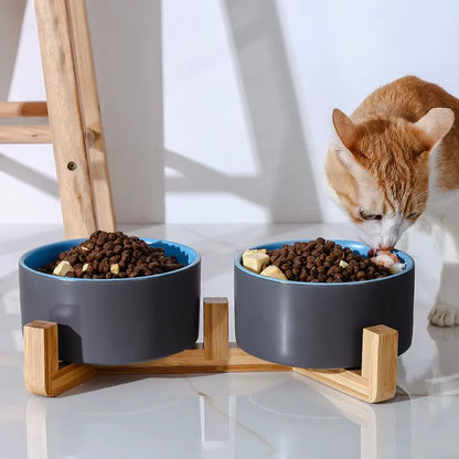 Self-Assembly Ceramic Double Cat Bowl Dog Bowl 400ML Pet Feeding Water Bowl Cat Puppy Feeder Product Supplies Food Water Bowls